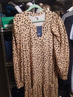 crown & ivy Tan Midi Dress with Black Spot Print